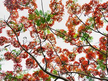 《杀出重围》资深编剧将参与开发《质量效应4》